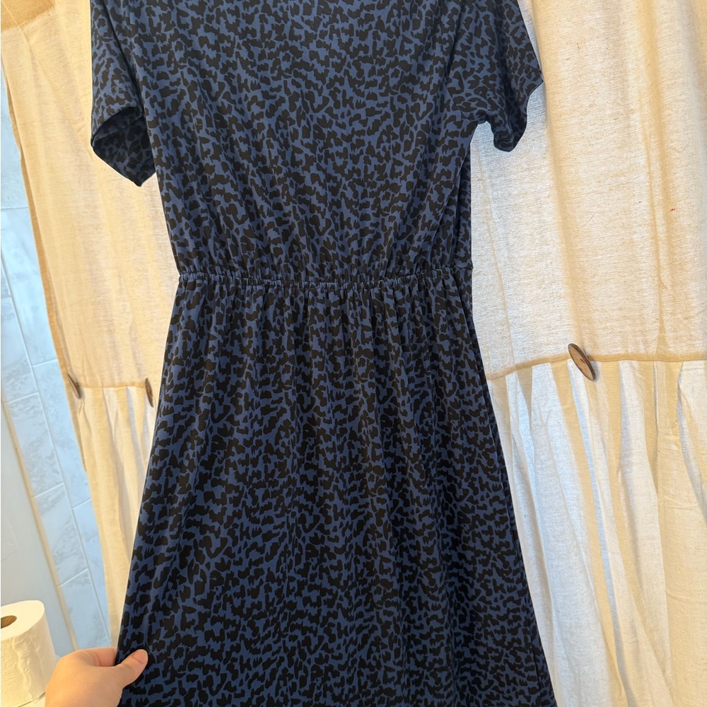 Banana Republic Cheetah Print Dress